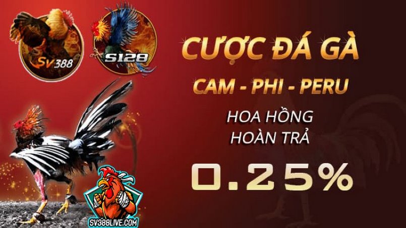 Lưu ý khi đăng nhập SV388 Lưu ý khi đăng nhập SV388