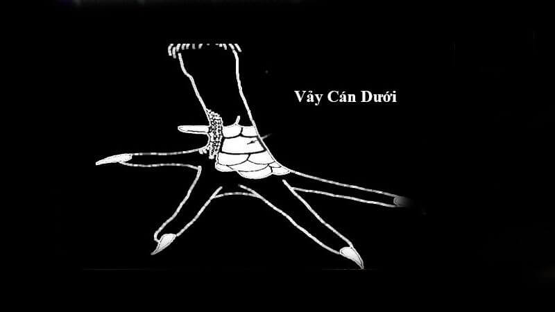 Vị trí của vảy có giá trị cực kỳ quan trọng Vị trí của vảy có giá trị cực kỳ quan trọng