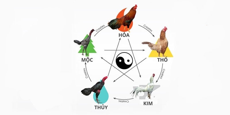 Màu mạng theo ngũ hành Màu mạng theo ngũ hành